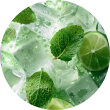 Fresh Mint